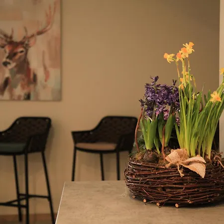 Balance, Zdiarska * Ždiar